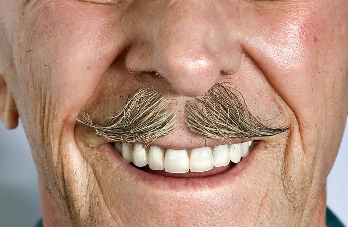 Lawyers Who Write Wills Are Sharing The 40 Weirdest And Craziest Requests Their Clients Have Made