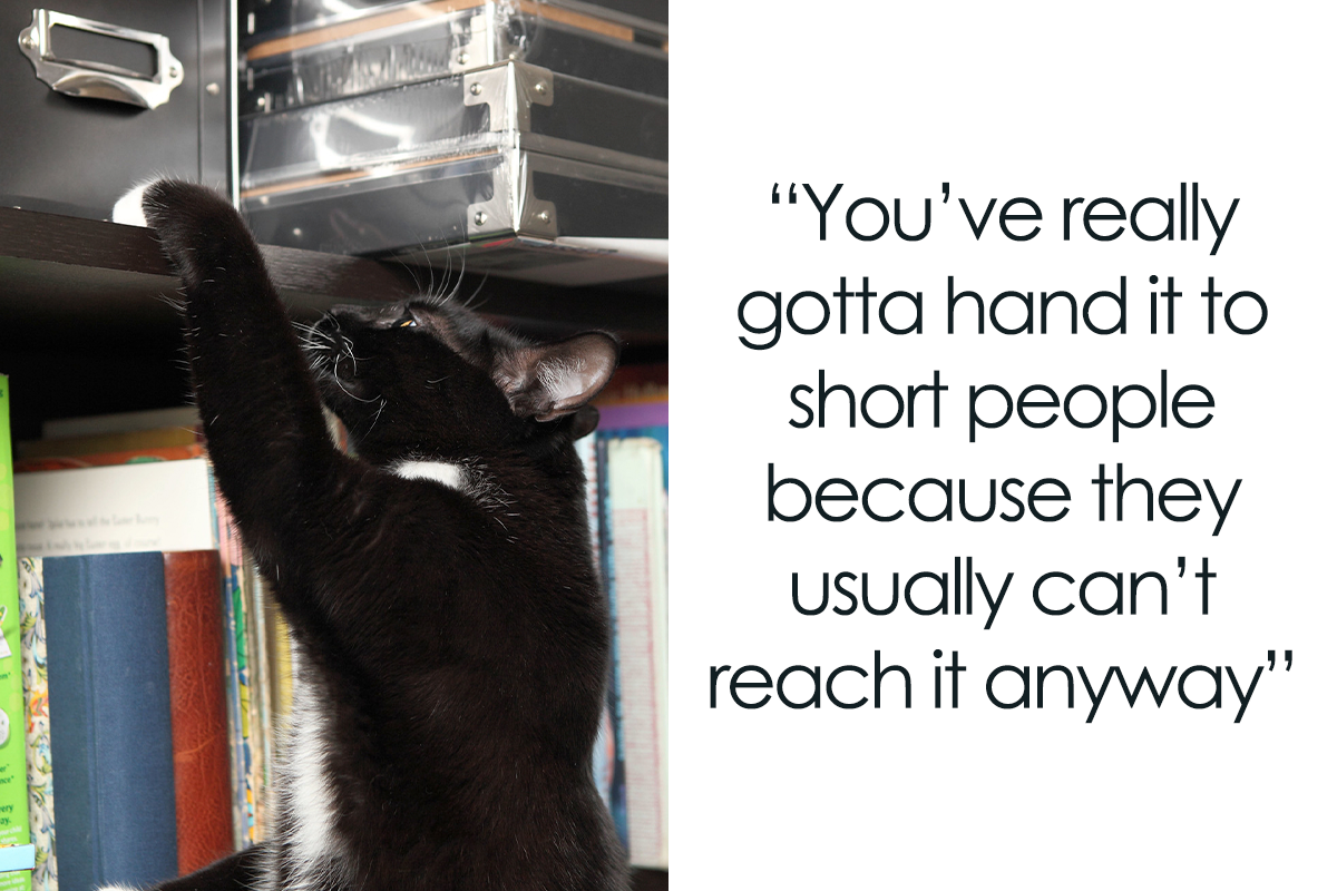 Atlantic Perfekt elleve 30 Short People Jokes That Might Just Give You The Giggles | Bored Panda