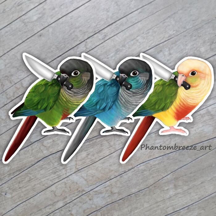 Stabby Conures