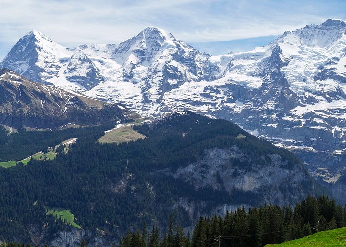 The Swiss Alps 😍