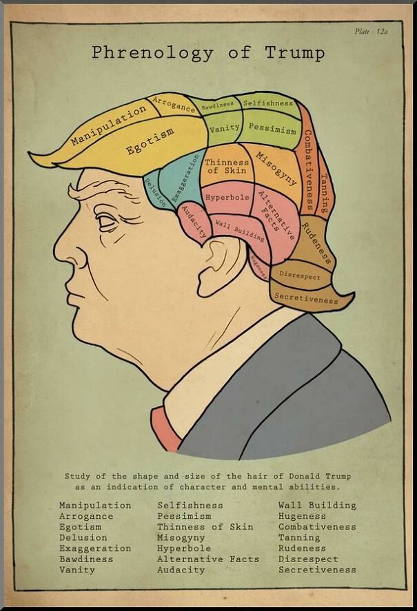 trump-phrenology-6298c77bebc73.jpg