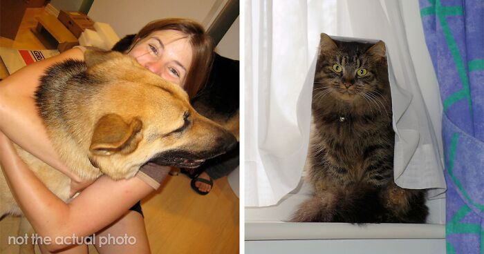 Every Private Tenant In UK To Get Legal Right To Keep A Pet In “Biggest Shake-Up Of The Private Rented Sector In 30 Years”