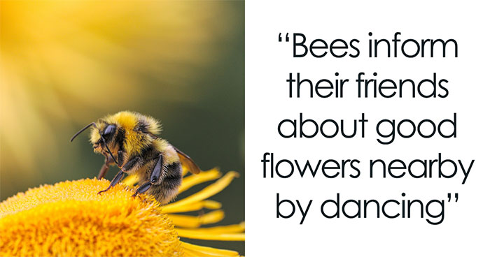 Someone Asked For ‘Very Comforting Facts,’ And 35 People Delivered