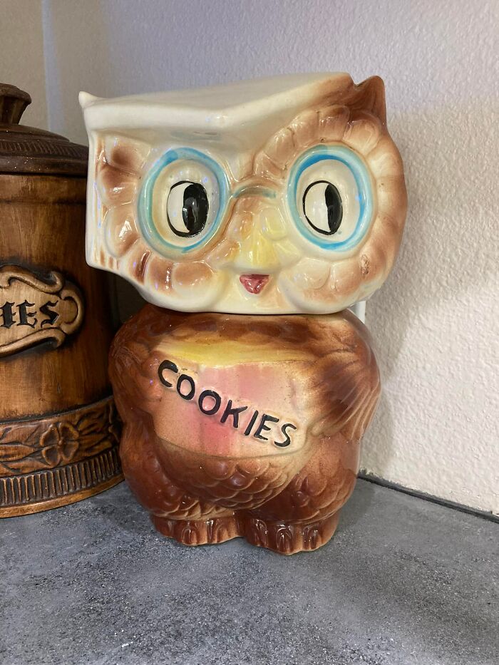 I Found This Collegiate Owl Cookie Jar At The Key Center Thrift In Lecanto, Fl. Did I Need Him, No. Did I Get Him, Yes. As You Can See I Have A Cookie Jar Already. Half Off Day So $40. Yes