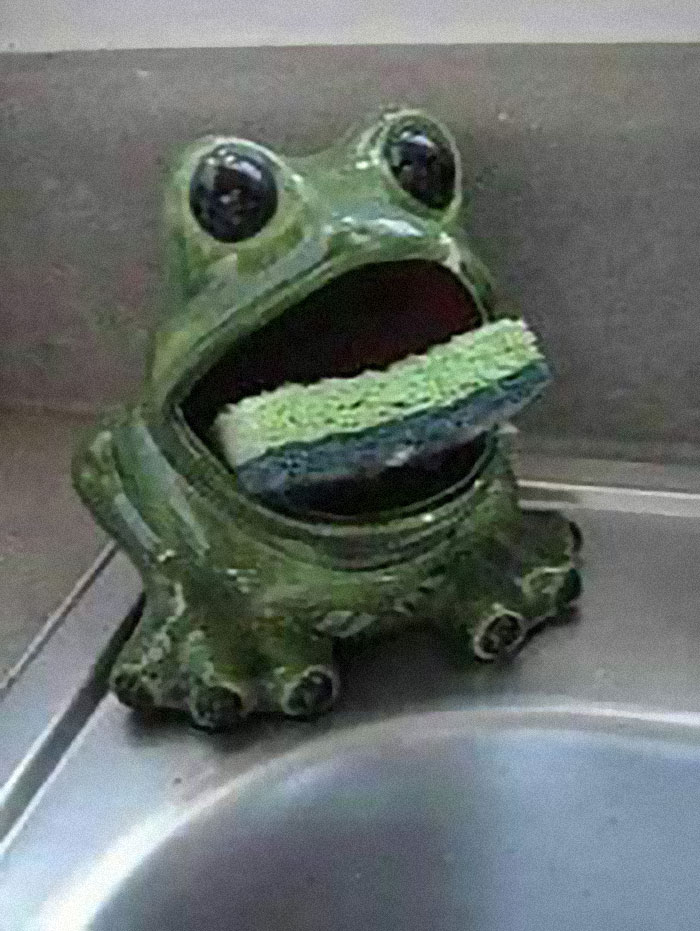 Remember The Scrubby Frog