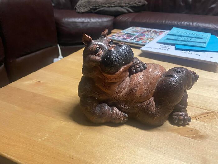 He encontrado este hipopótamo para el hogar