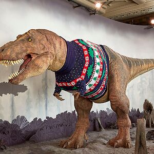 mary-otakuneko avatar