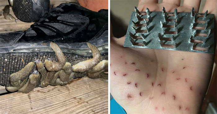 40 Times People Photographed Stuff That Nightmares Are Made Of