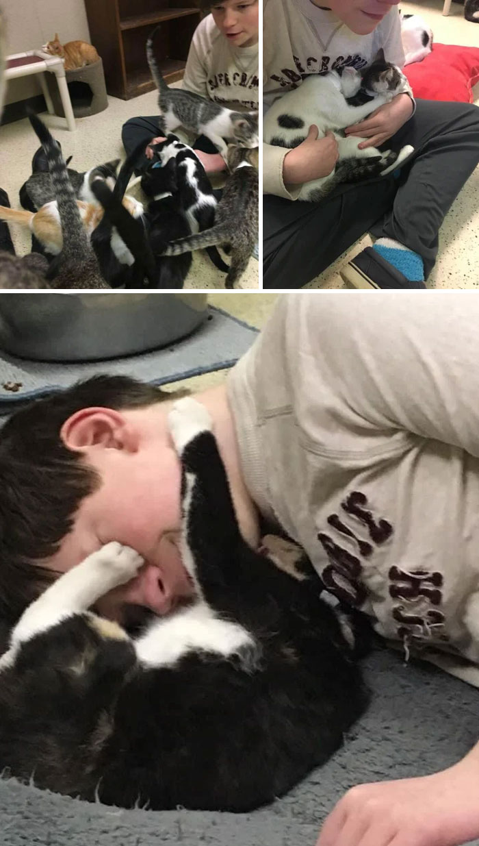 Mi hijo es autista y le encantan los gatos, así que durante los últimos 4 años se ha ofrecido como voluntario para socializar a los gatos y gatitos de nuestro refugio de animales local para ayudar a que los adopten