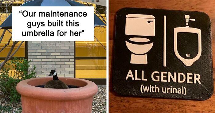If The World Feels Like A Terrible Place, Here Are 50 Of The Most Wholesome Things People Shared Online To Make Each Other’s Day