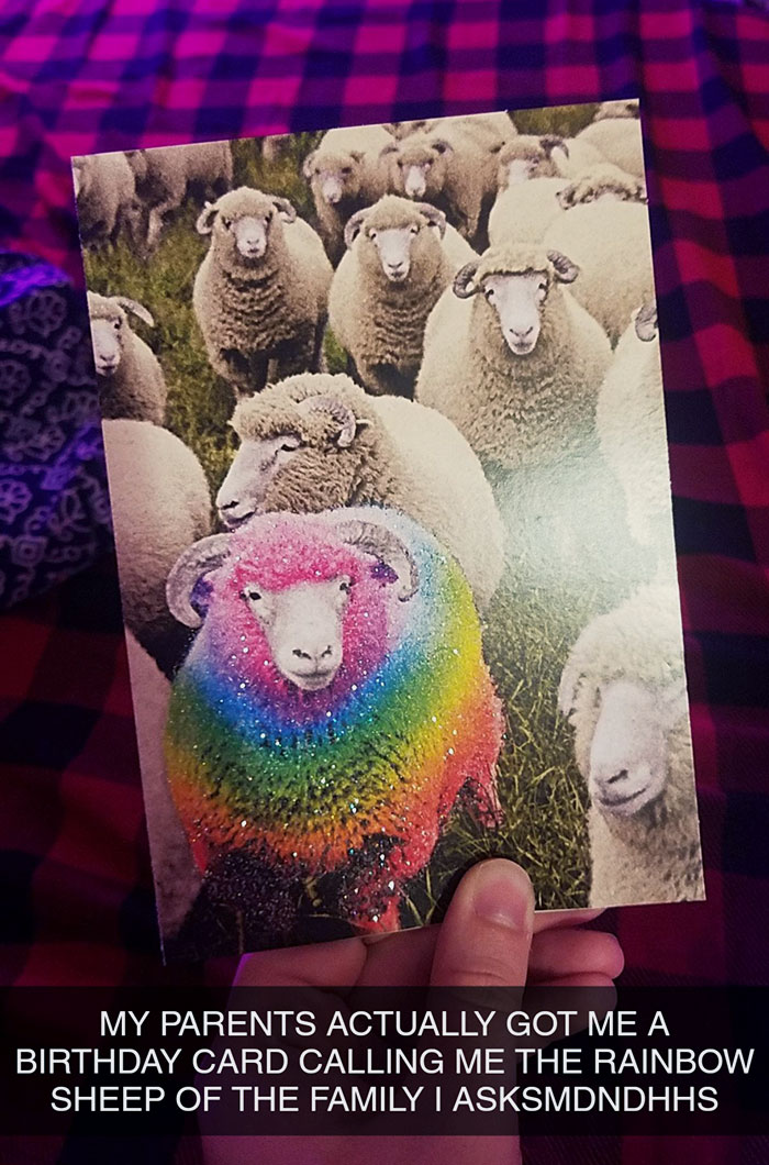 Today Is My Birthday, And My Parents Have Sent Me A Card