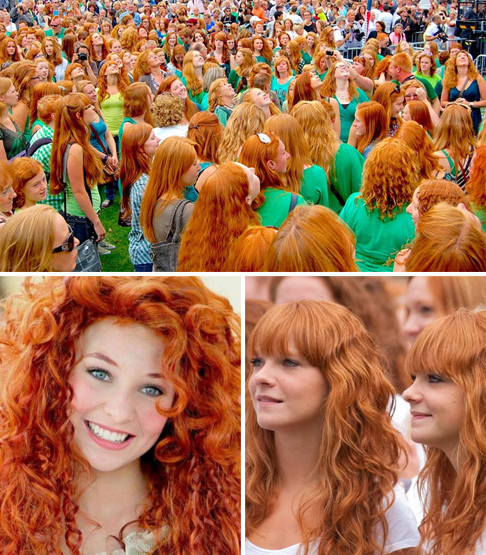 Redhead Festival,dublin Ireland A Lot Of People Gather In This Place,united Only By The Fact That They Have Orange Hair