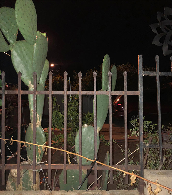 Someone Wonders "What’s The Worst Thing You’ve Come Home To?" And 30 People Deliver Honest Answers