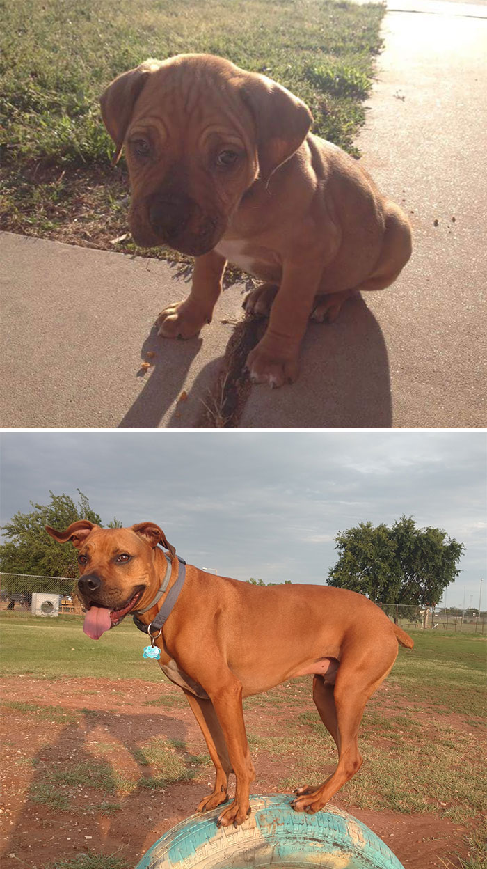 Someone Wonders "What’s The Worst Thing You’ve Come Home To?" And 30 People Deliver Honest Answers