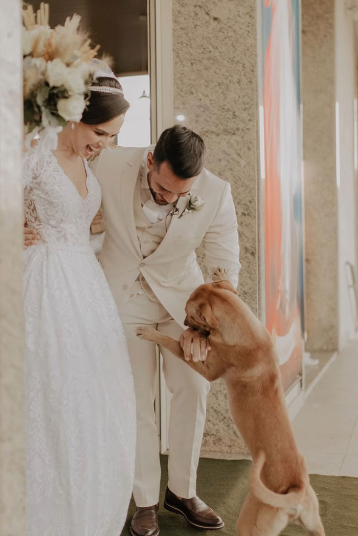 Este perro callejero "invadió" una boda y acabó siendo adoptado por los recién casados