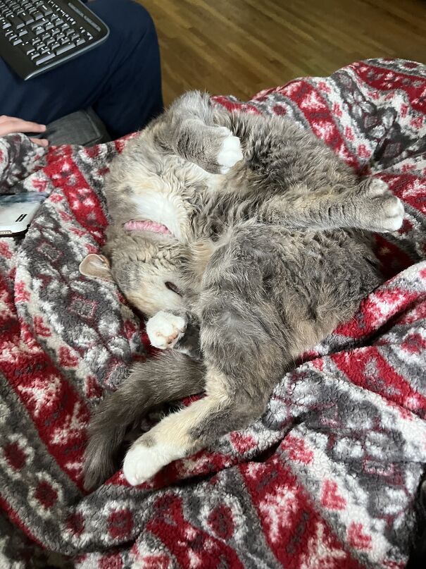 No Explanation Needed