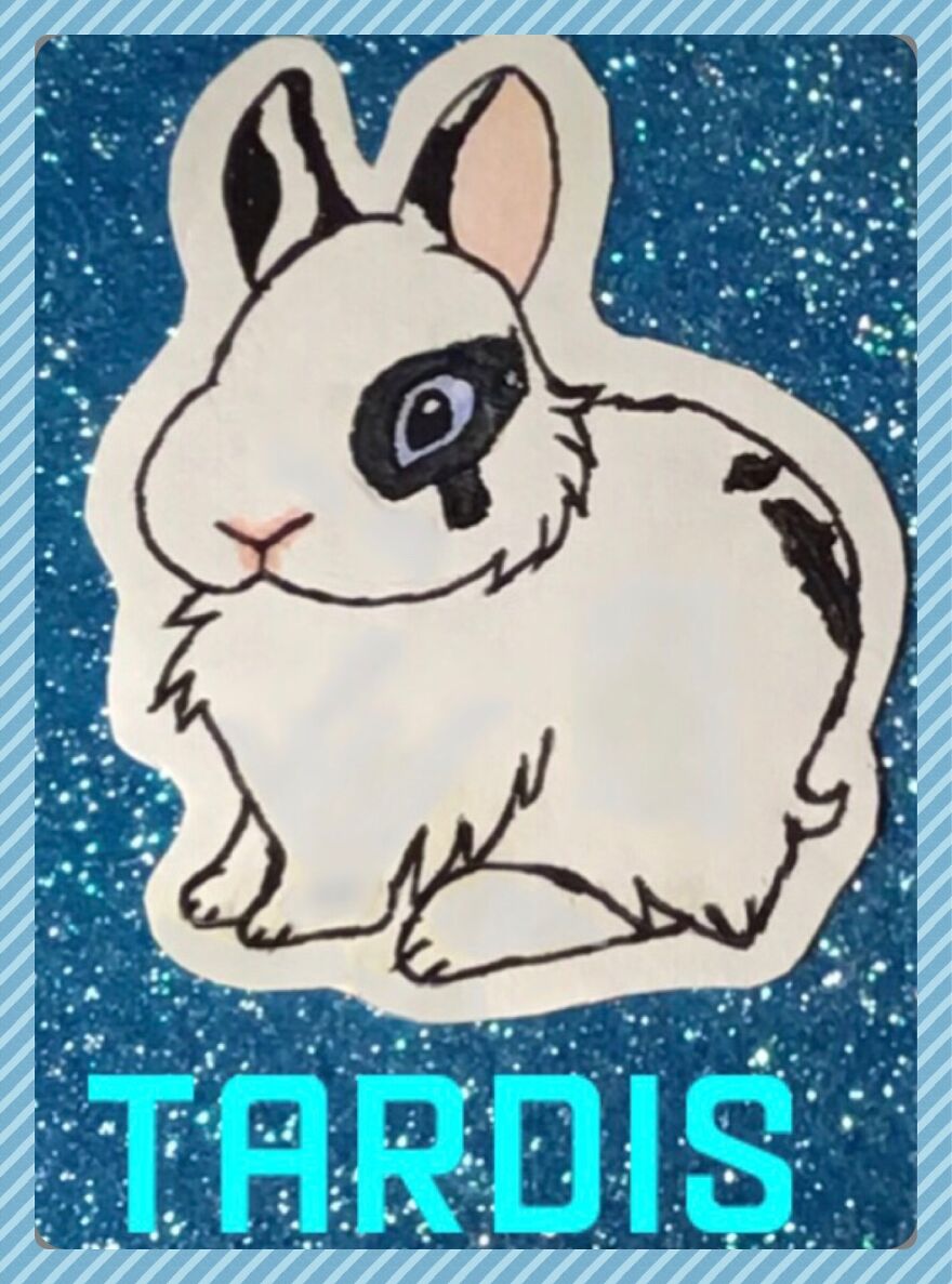 Drawing Of My (Late) Baby Rabbit “Tardis”, Who Crossed Rainbow Bridge On The 28th Of December 2018…