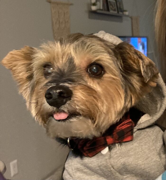 He Always Has His Tongue Out Half Way :)