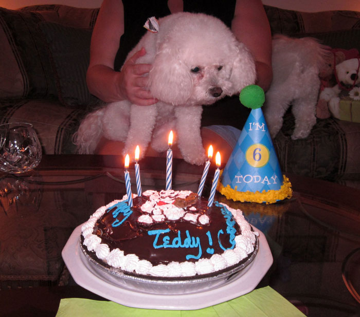 Woman Asks Folks Online If She’s A Jerk For Taking The Cake She Baked For Her Fiance And Leaving His B-Day Party After His Mom Stole Her Thunder Woman Asks Folks Online If She’s A Jerk For Taking The Cake She Baked For Her Fiance And Leaving His B-Day Party After His Mom Stole Her Thunder