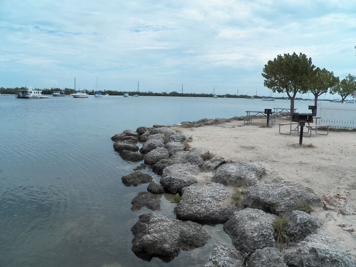 2019 Boyd's Key West Campground, Inside The Campground Is Paradise, Just Minutes To Downtown Key West