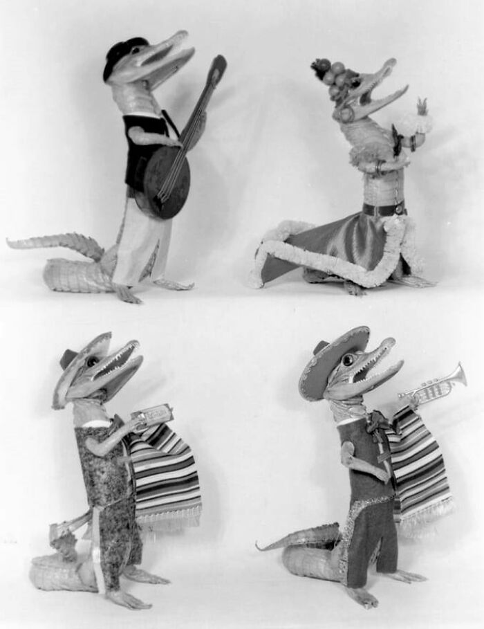 Four Costumed Alligators: A Banjo Player, Carmen Miranda, One With A Harmonica, And One With A Trumpet. On Display At The Tropical Handbag Company Of Miami, Florida. November 1957