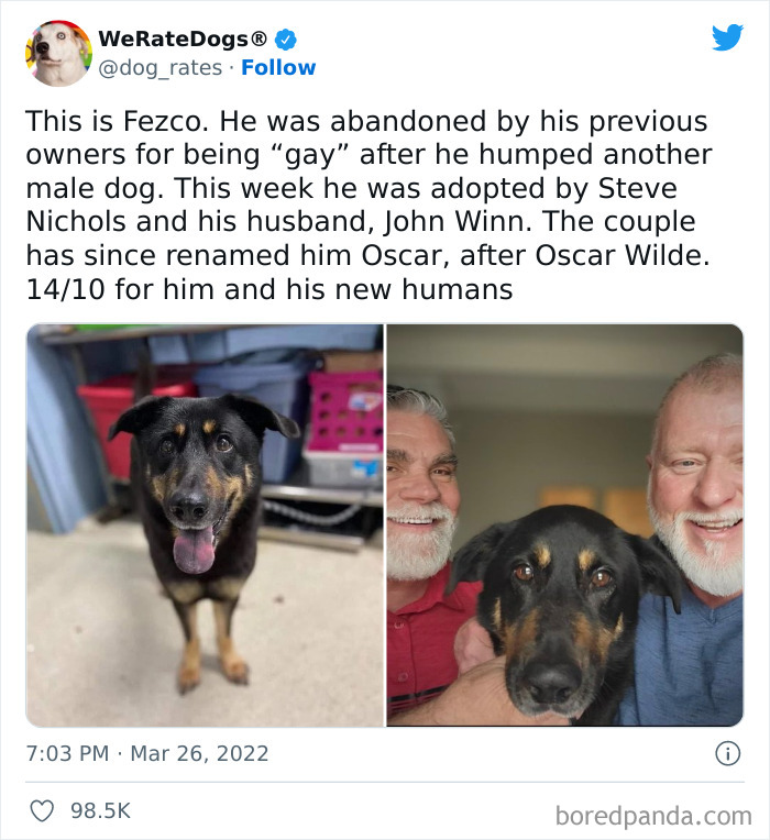 Funny-Dog-Rates-Twitter