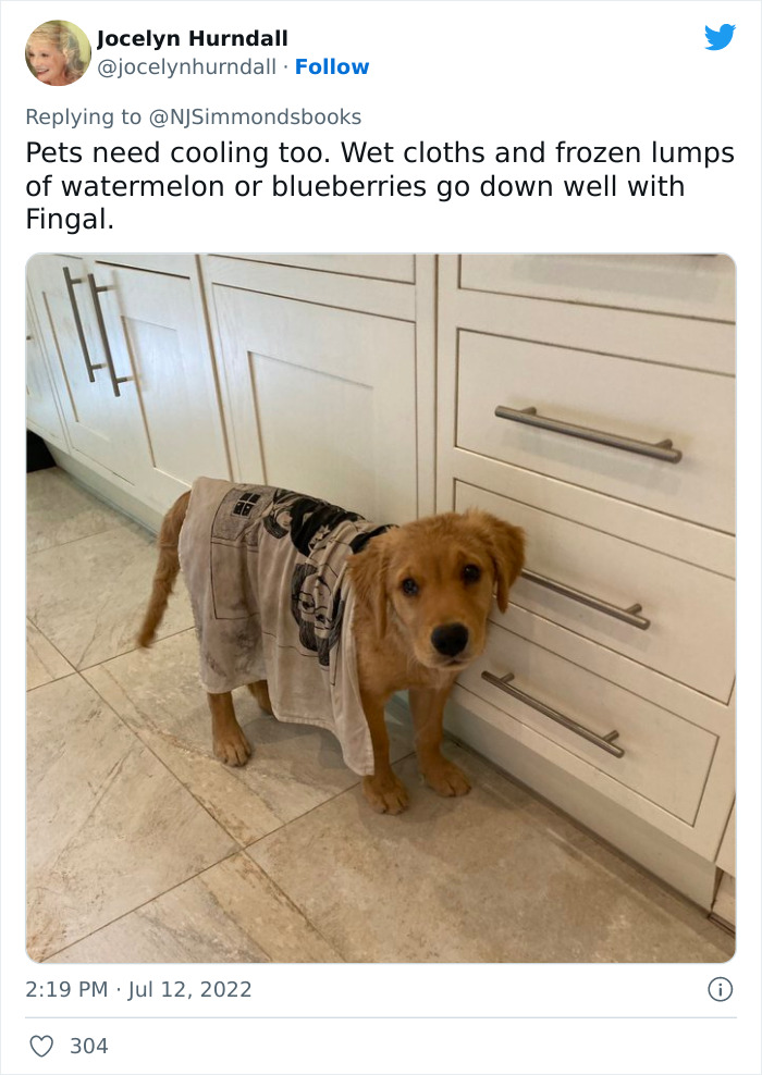 Woman Who Has Lived In Spain And Australia Shares Useful Tips On How To Survive A Heatwave And They Go Viral Woman Who Has Lived In Spain And Australia Shares Useful Tips On How To Survive A Heatwave And They Go Viral