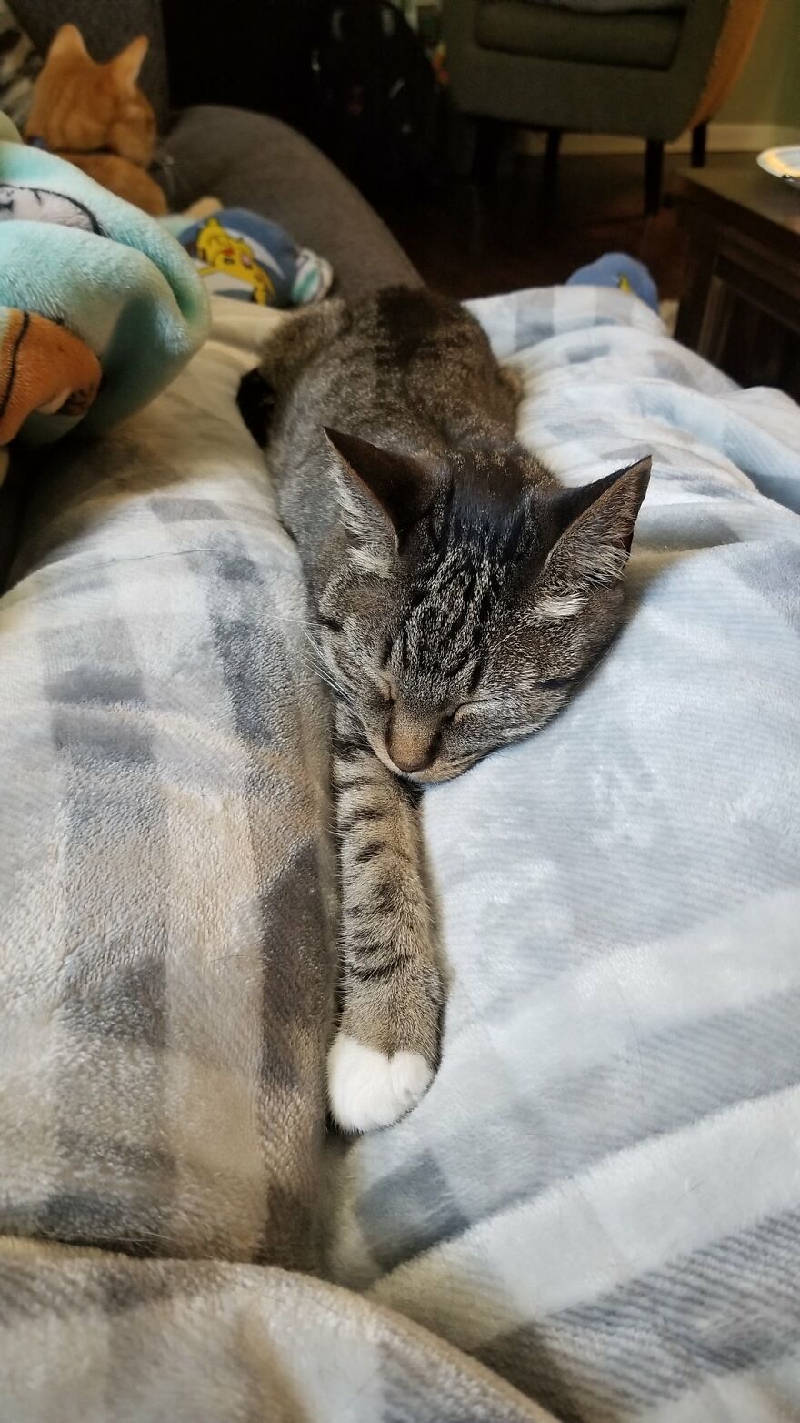 Dad Makes A Cat Bed For His Daughter's Feline From An Old TV, And It Hasn't Gone Unnoticed On The Socials Dad Makes A Cat Bed For His Daughter's Feline From An Old TV, And It Hasn't Gone Unnoticed On The Socials