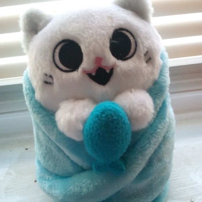 Tuna Is A Stuffed Cat I Got On My Sister's First Birthday After She Died Due To Cancer