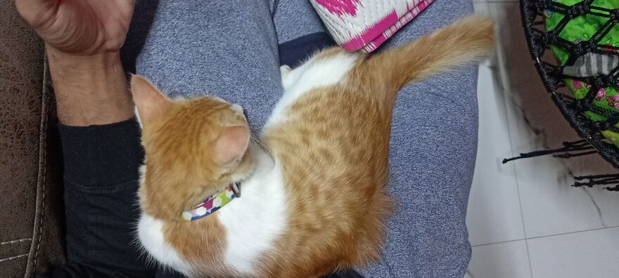 The Sleeping Handsome!!!