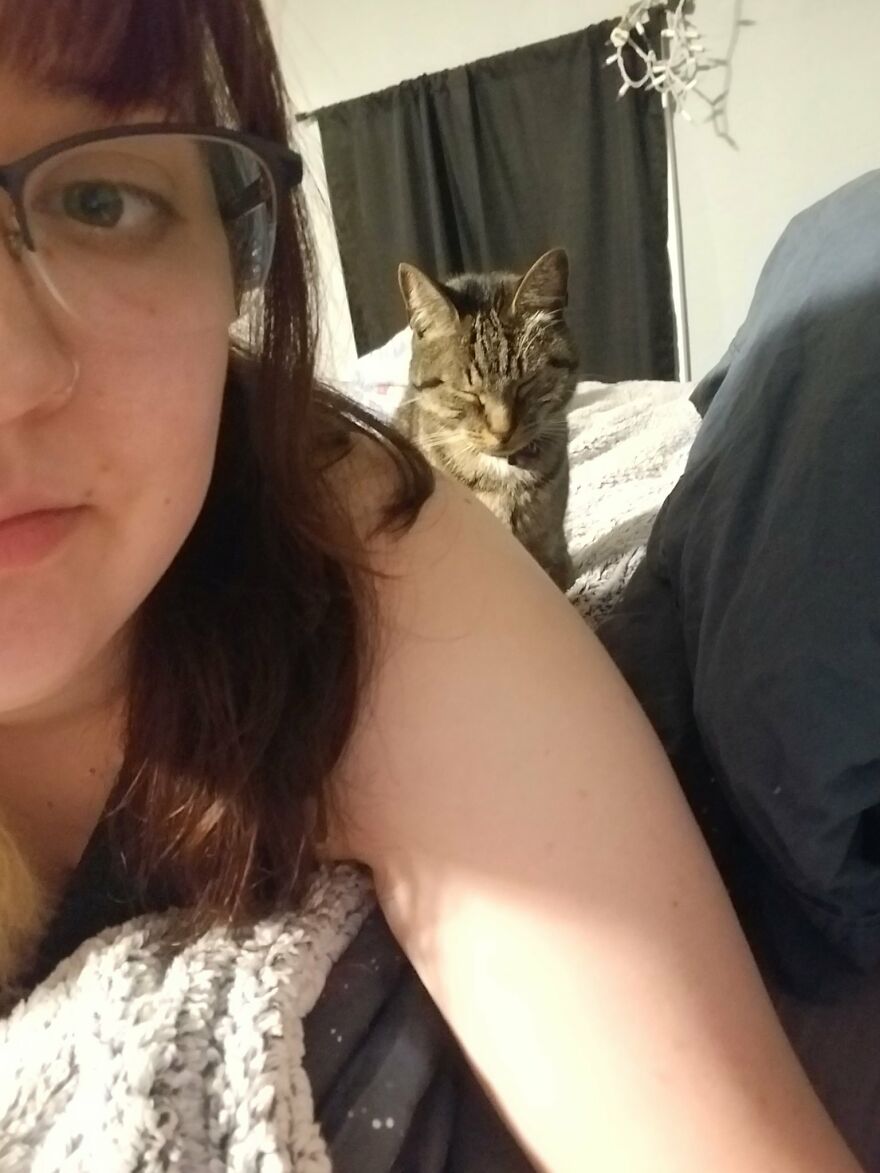 Dad Makes A Cat Bed For His Daughter's Feline From An Old TV, And It Hasn't Gone Unnoticed On The Socials Dad Makes A Cat Bed For His Daughter's Feline From An Old TV, And It Hasn't Gone Unnoticed On The Socials