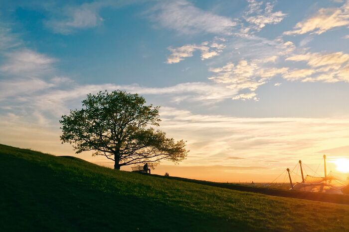 Шикарное фото 