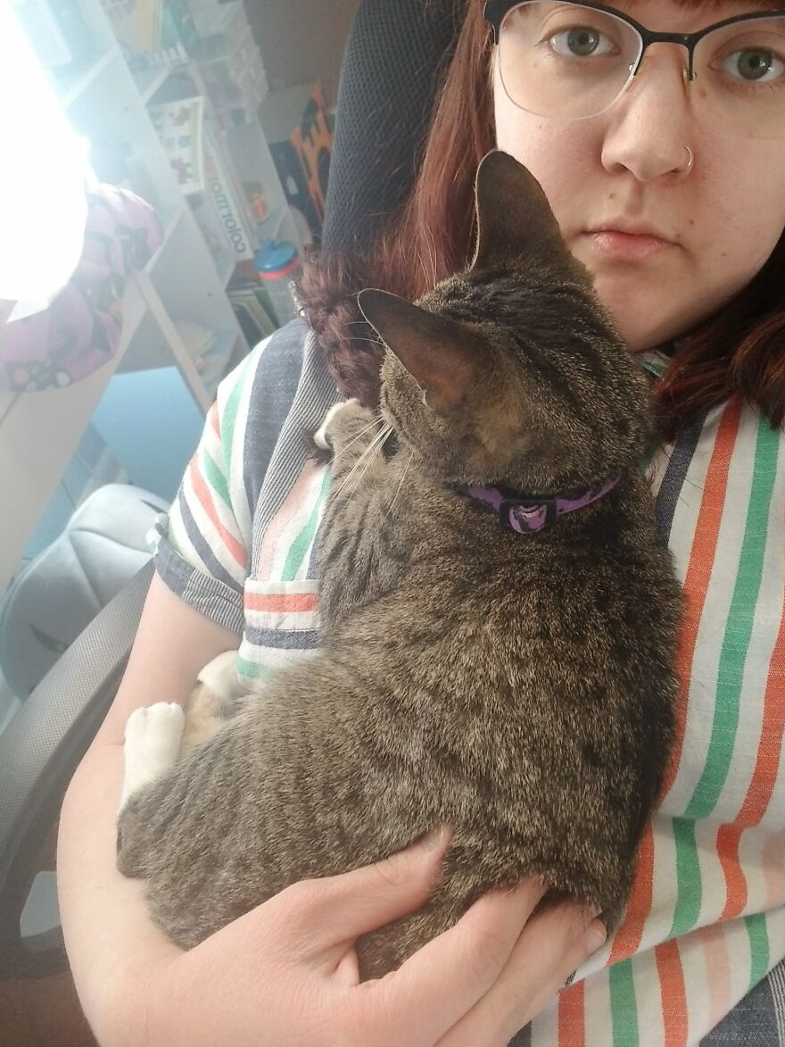Dad Makes A Cat Bed For His Daughter's Feline From An Old TV, And It Hasn't Gone Unnoticed On The Socials Dad Makes A Cat Bed For His Daughter's Feline From An Old TV, And It Hasn't Gone Unnoticed On The Socials