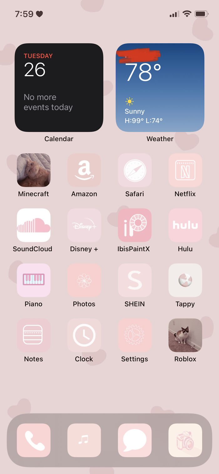 What Can I Say I Like Pink(I Customized The Apps) Also Covering Up My Location