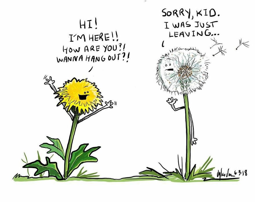 Artist Draws What Non-Living Objects Would Say If They Could Talk In 74 New Funny Comics