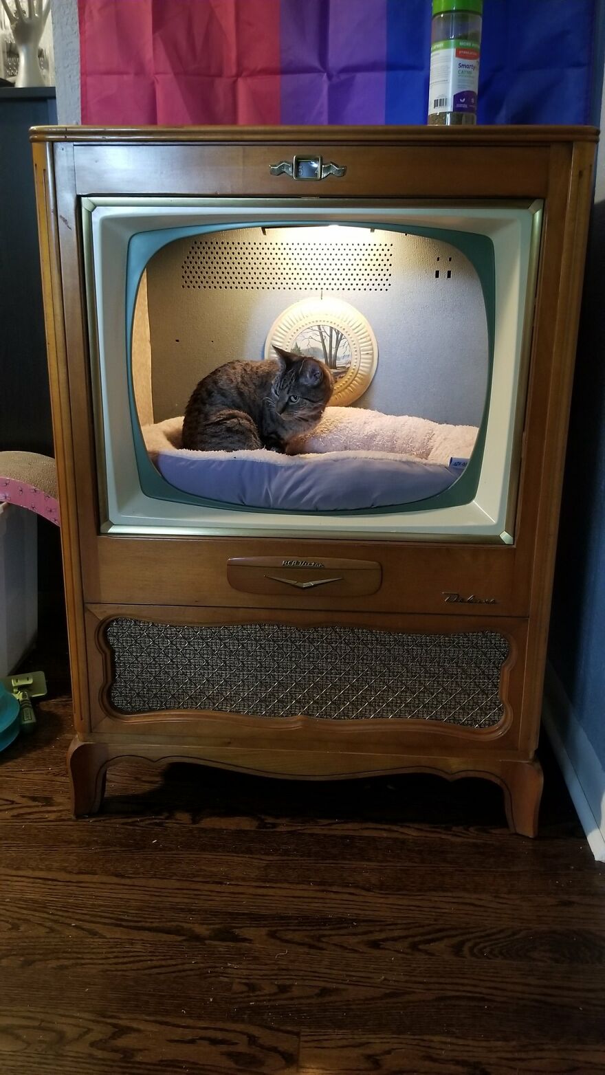 Dad Makes A Cat Bed For His Daughter's Feline From An Old TV, And It Hasn't Gone Unnoticed On The Socials