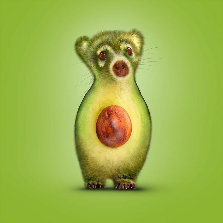 Animals Beyond Fairytale: I Make Bizarre Image Manipulations (21 Pics)