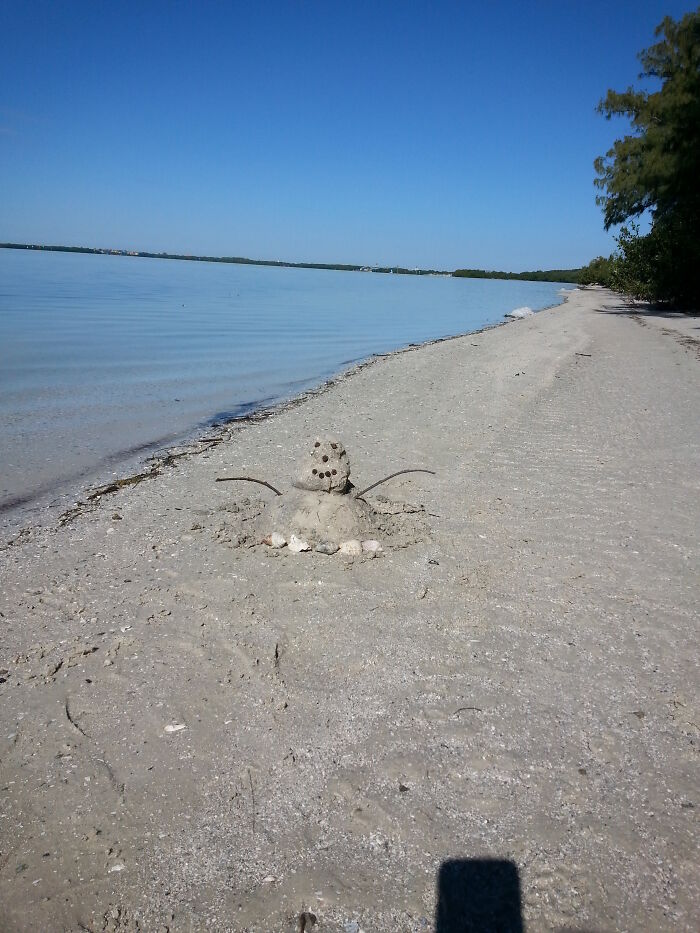 2014 Fort Desoto, Florida. Beach Area Behind The Campsites. Someone Built A "Sand Man" During January. I Guess They Missed The Snow.