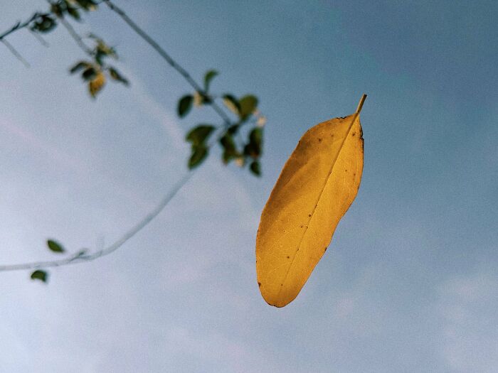 Pictures You Wouldn’t Believe Are Taken With A Smartphone (21 Pics)