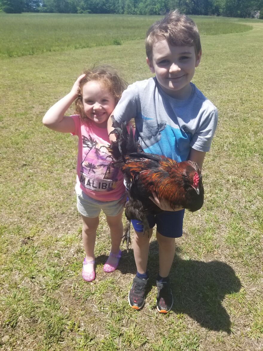 Kiddos & Chickens!