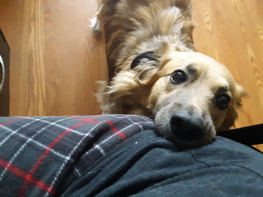 He Doesn't Understand What "Working From Home" Means 😥