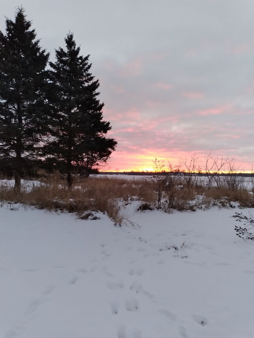 Sunrise With Dog Prints In The Snow