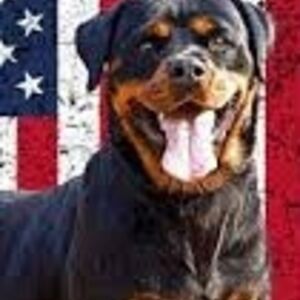 ericapetrie_1 avatar