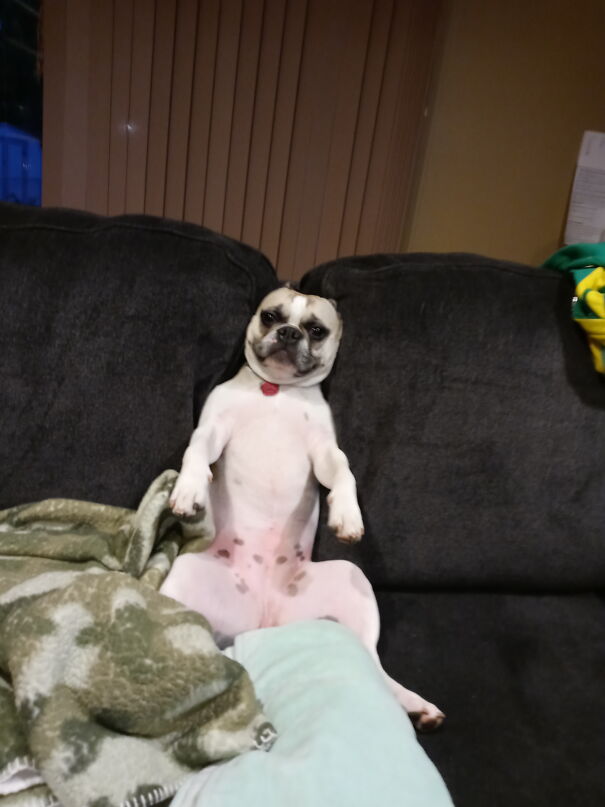 Me Sit L Likely Huuman