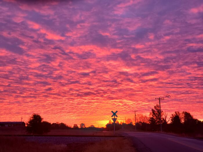 Kentucky Sunrise