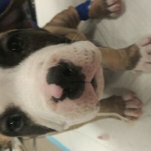 wakeybakeyliz avatar