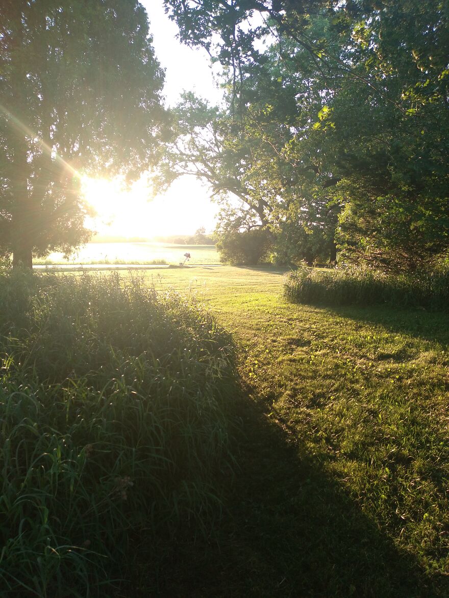 Out Walking The Yard