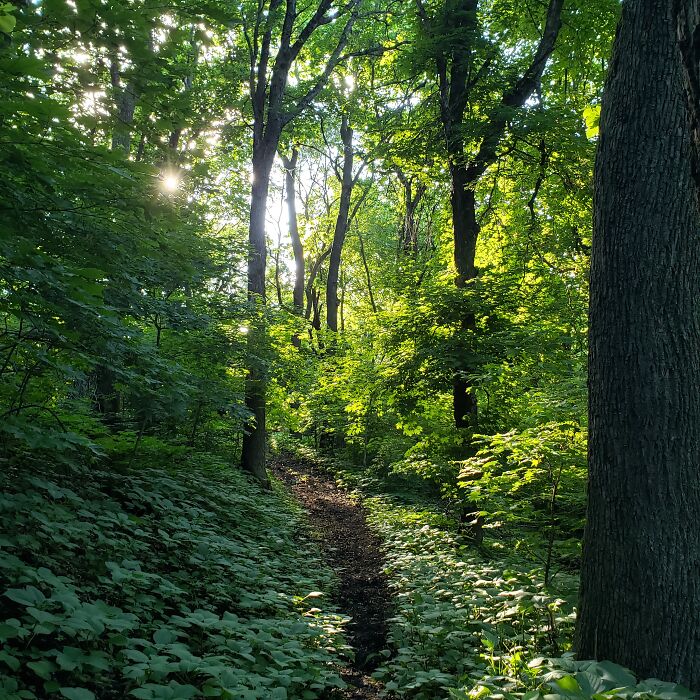 Hiking At The State Parks Around Me