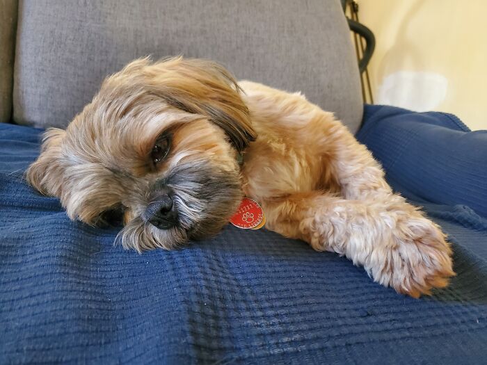 Resting After An Energetic Walk