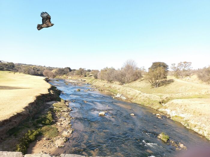 I Flipped It, Threw A Hawk In, Put Some Filters, And Touched Up A Couple Things! 💖🤞